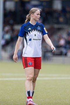 Bild 181 - wBJ Hamburger SV - FC Suederelbe : Ergebnis: 9:0